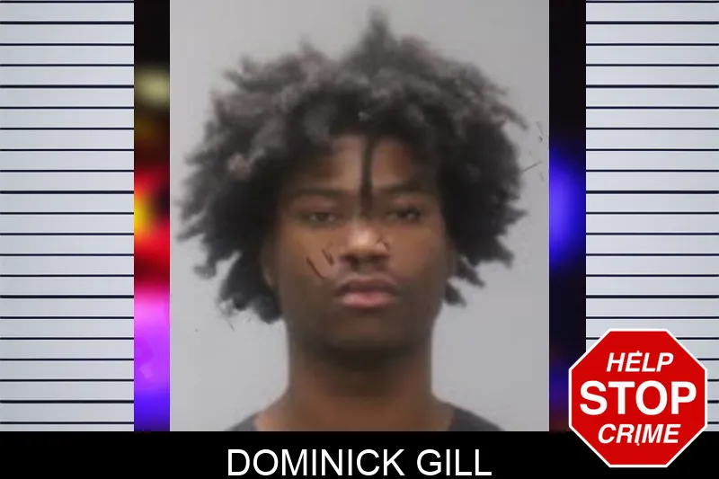 Dominick Gill Mugshots