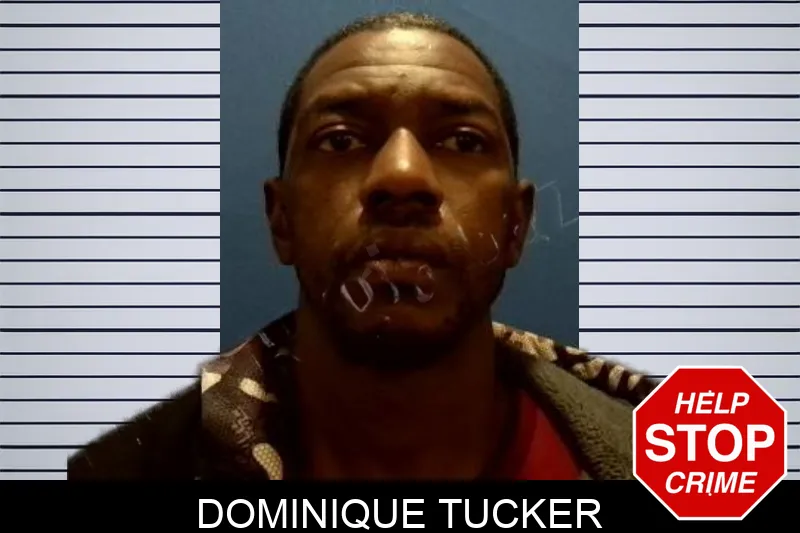 Dominique Tucker Mugshots