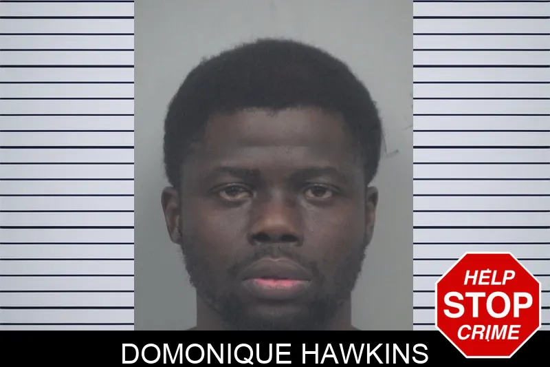 Domonique Hawkins mugshot