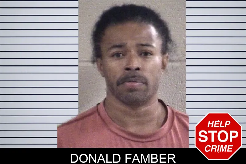 Donald Famber Mugshots
