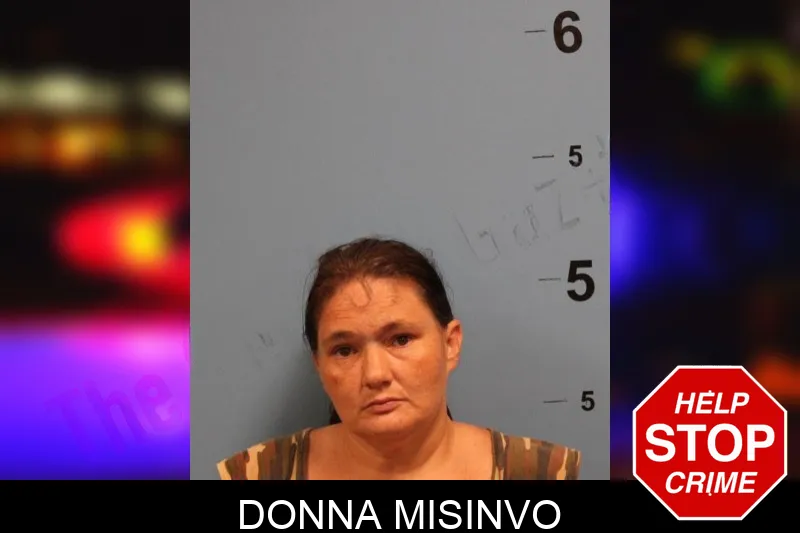 Donna Misinvo Mugshots