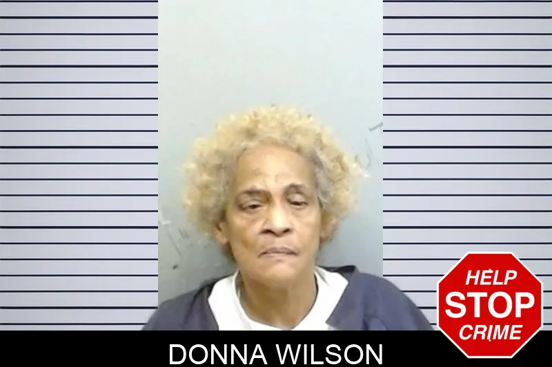 Donna Wilson mugshot – Fulton County , Georgia Donna Wilson mugshot
