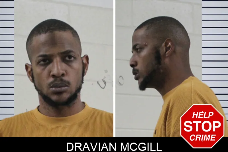 Dravian McGill Mugshots