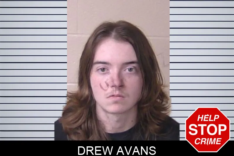 Drew Avans Mugshots