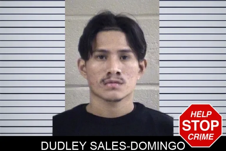 Dudley Sales-Domingo