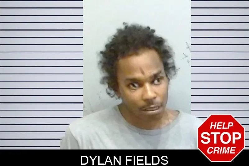 Dylan Fields Mugshots