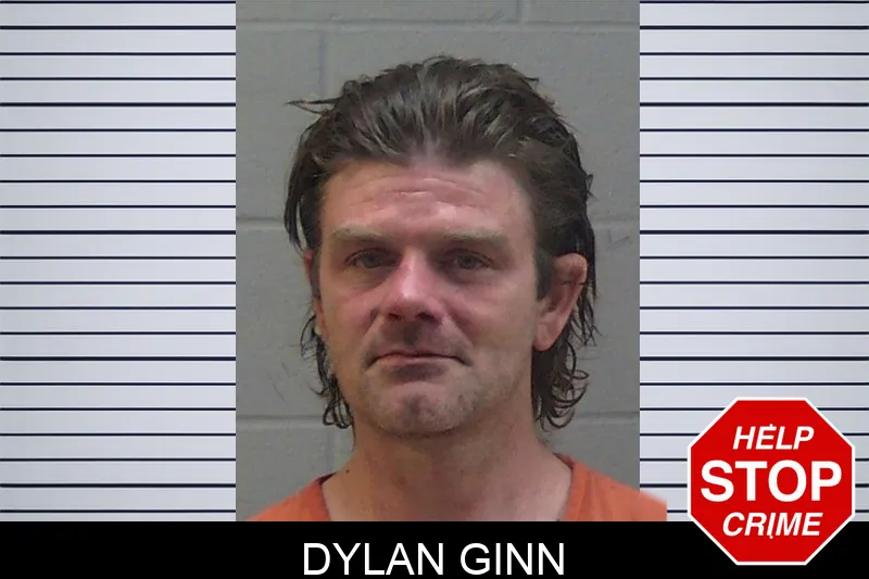 Dylan Ginn Mugshots