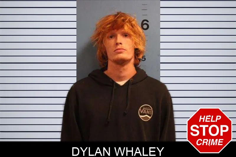 Dylan Whaley Mugshots
