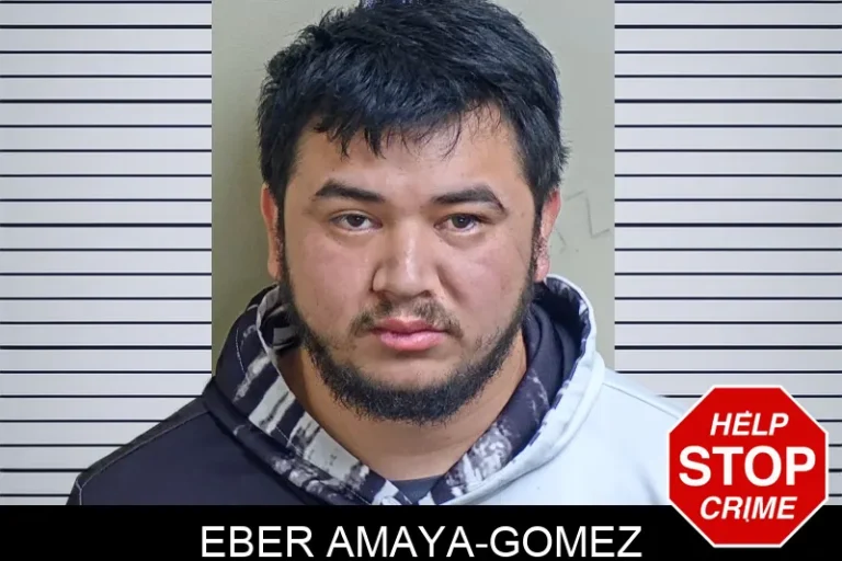 Eber Amaya-Gomez