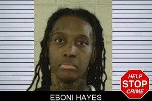 Eboni Hayes mugshot
