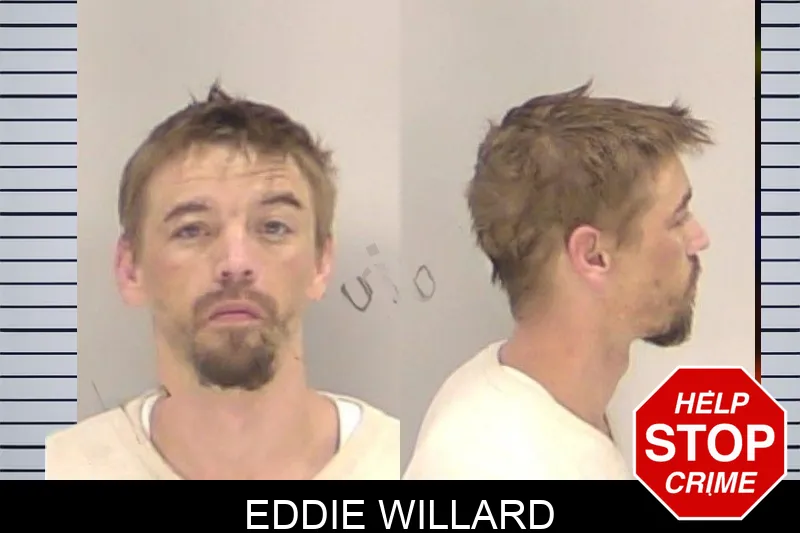 Eddie Willard Mugshots