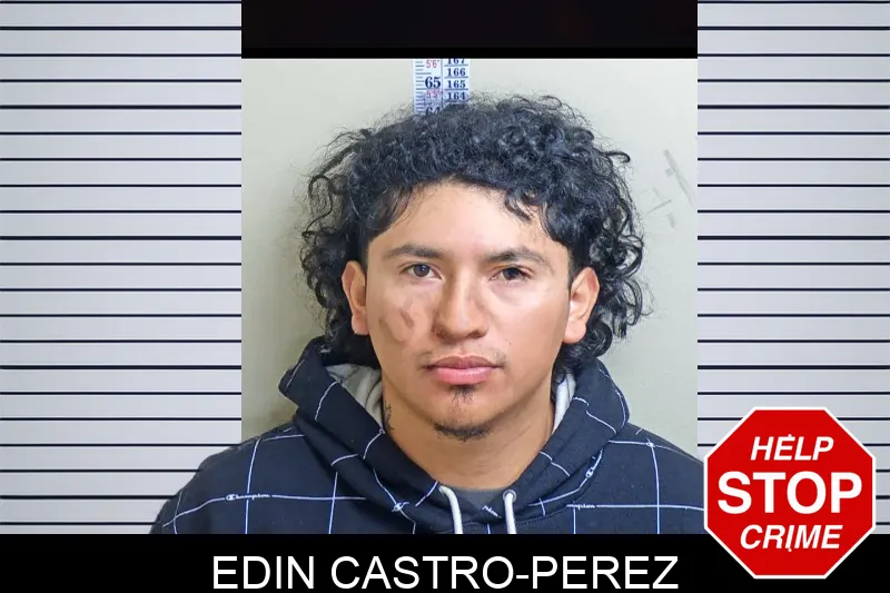 Edin Castro-Perez mugshot
