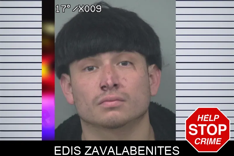 Edis Zavalabenites mugshot – Gwinnett County , Georgia Edis Zavalabenites mugshot