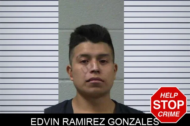 Edvin Ramirez Gonzales