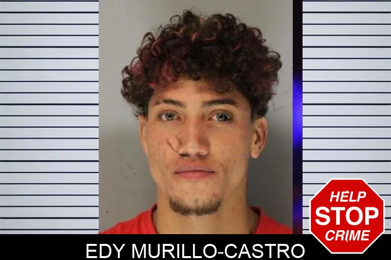 Edy Murillo-Castro Mugshots