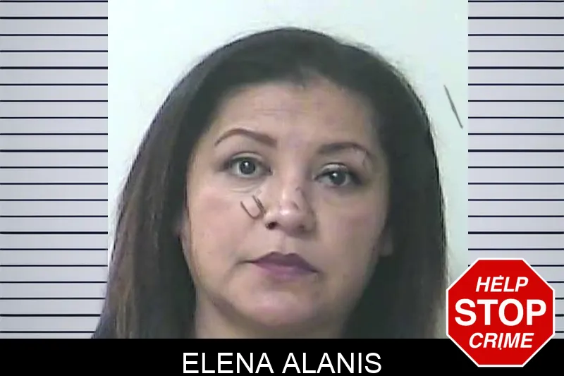Elena Alanis Mugshots