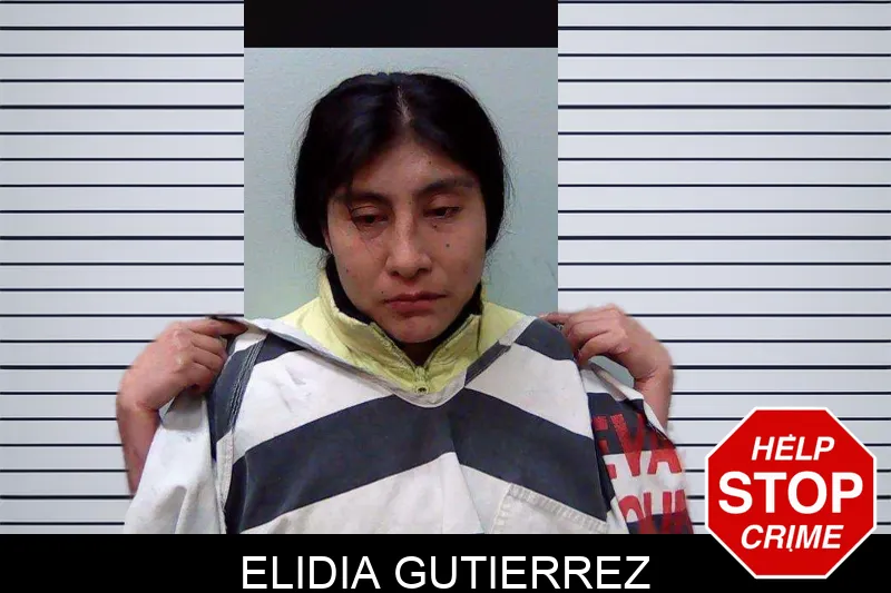 Elidia Gutierrez Mugshots