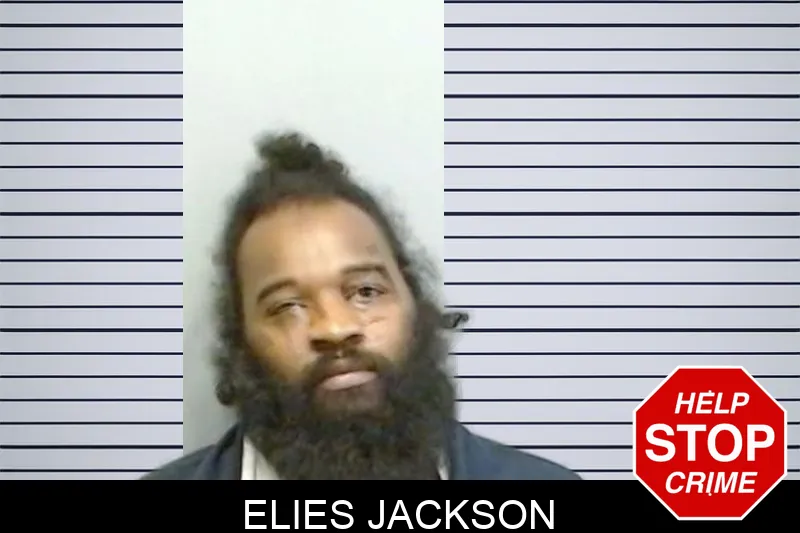 Elies Jackson mugshot – Fulton County , Georgia Elies Jackson mugshot