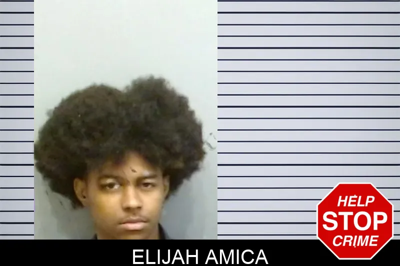 Elijah Amica Mugshots