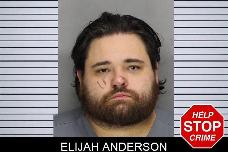 Elijah Anderson mugshot