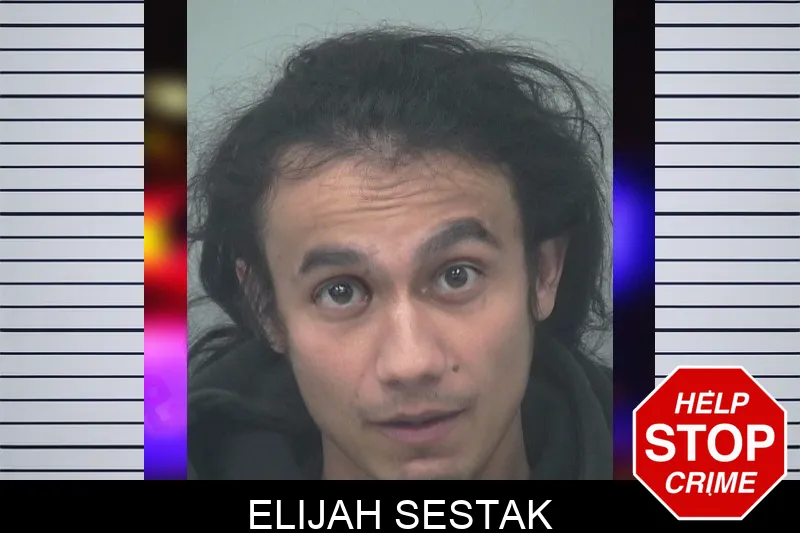 Elijah Sestak mugshot – Gwinnett County , Georgia Elijah Sestak mugshot