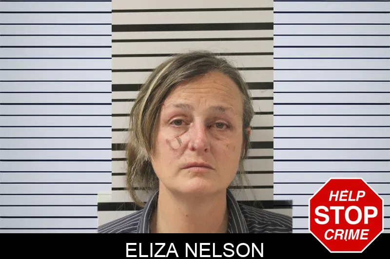Eliza Nelson Mugshots