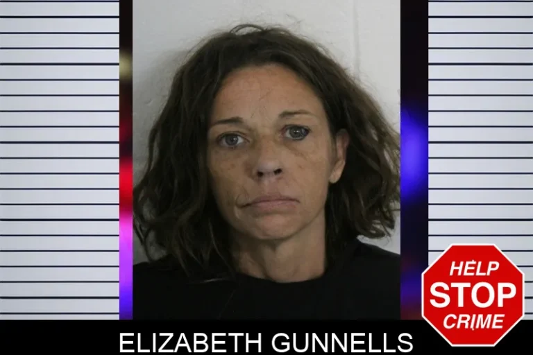 Elizabeth Gunnells mugshot – Floyd County , Georgia Elizabeth Gunnells