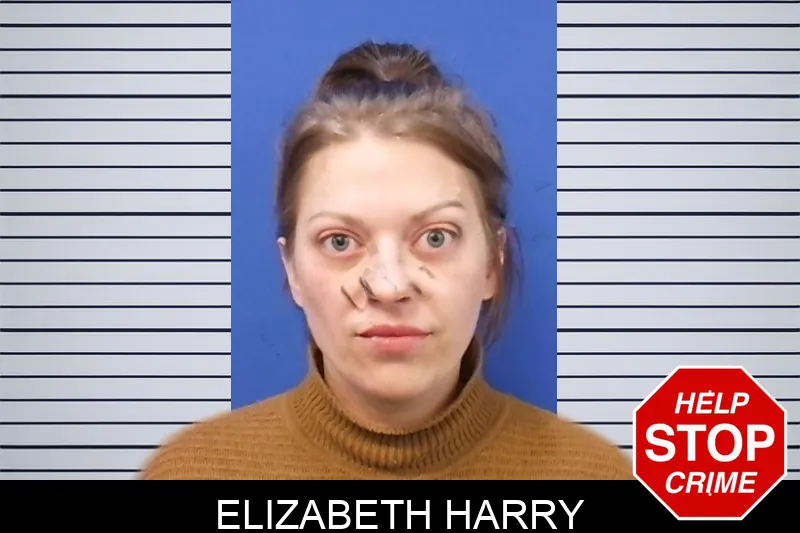 Elizabeth Harry Mugshots