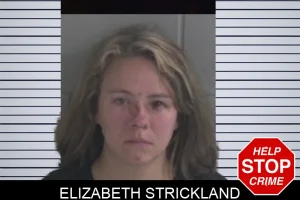 Elizabeth Strickland mugshot