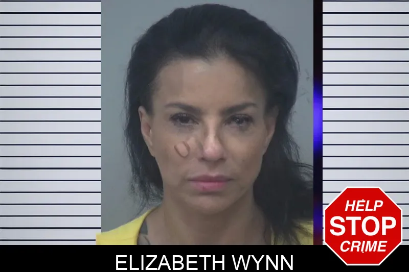 Elizabeth Wynn Mugshots