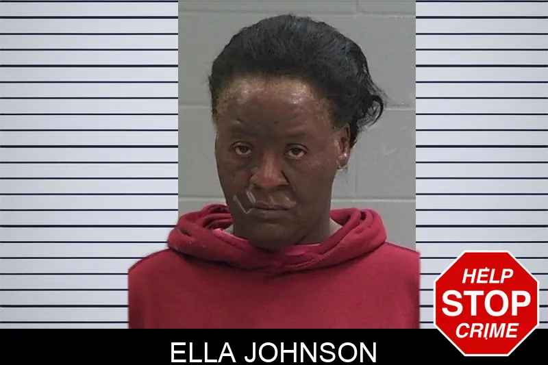Ella Johnson Mugshots