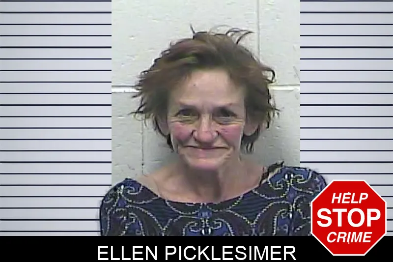 Ellen Picklesimer Mugshots