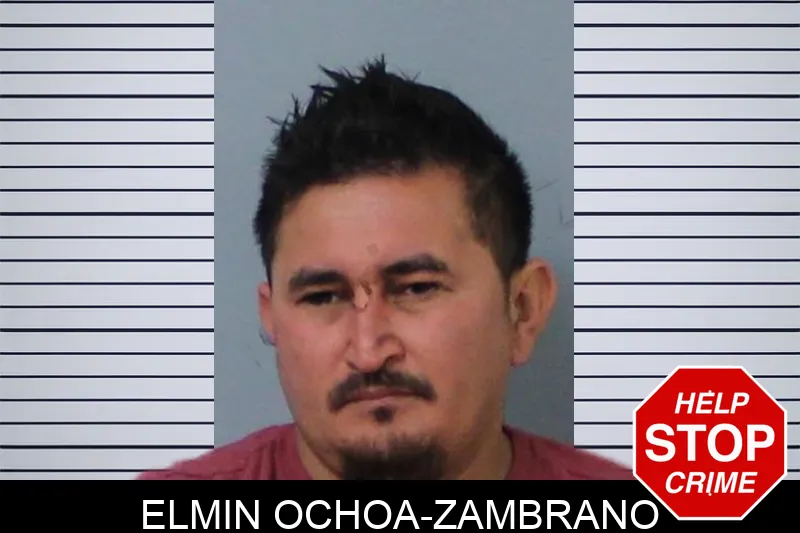 Elmin Ochoa-Zambrano Mugshots