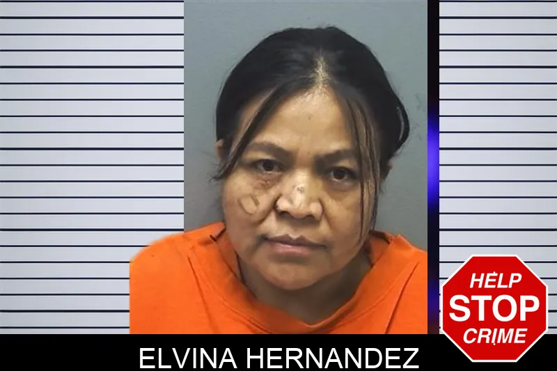 Elvina Hernandez mugshot
