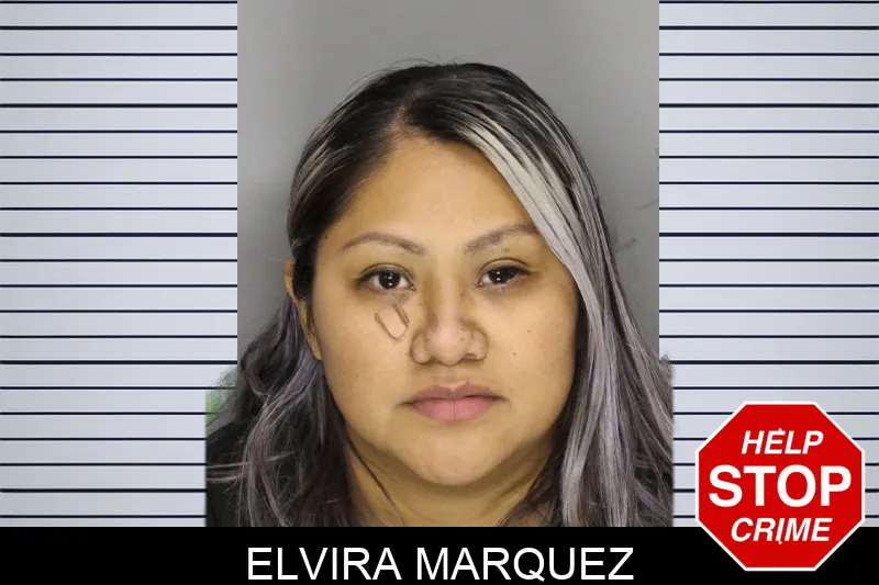 Elvira Marquez Mugshots