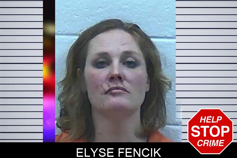 Elyse Fencik Mugshots