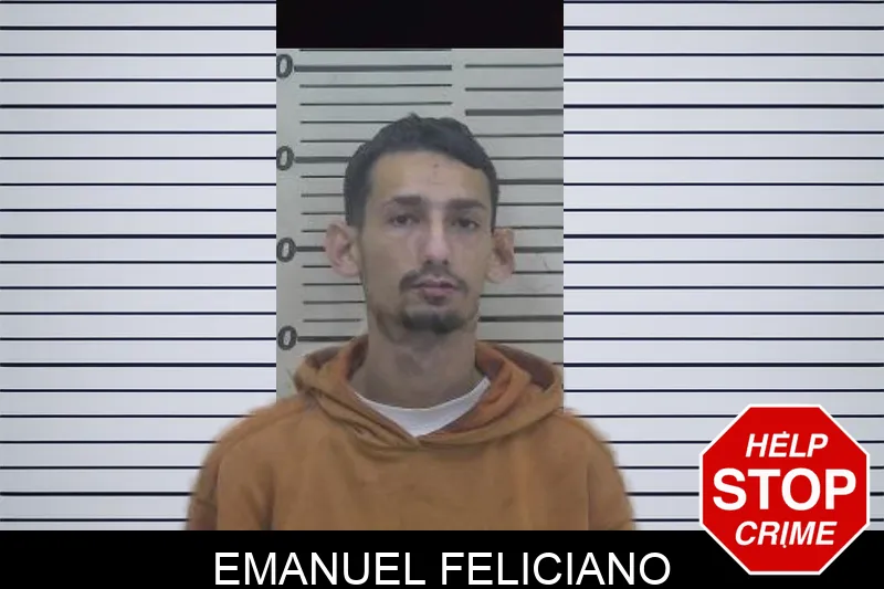 Emanuel Feliciano Mugshots