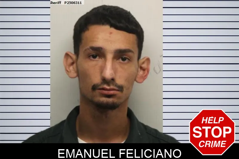 Emanuel Feliciano mugshot – Chatham County , Georgia Emanuel Feliciano mugshot