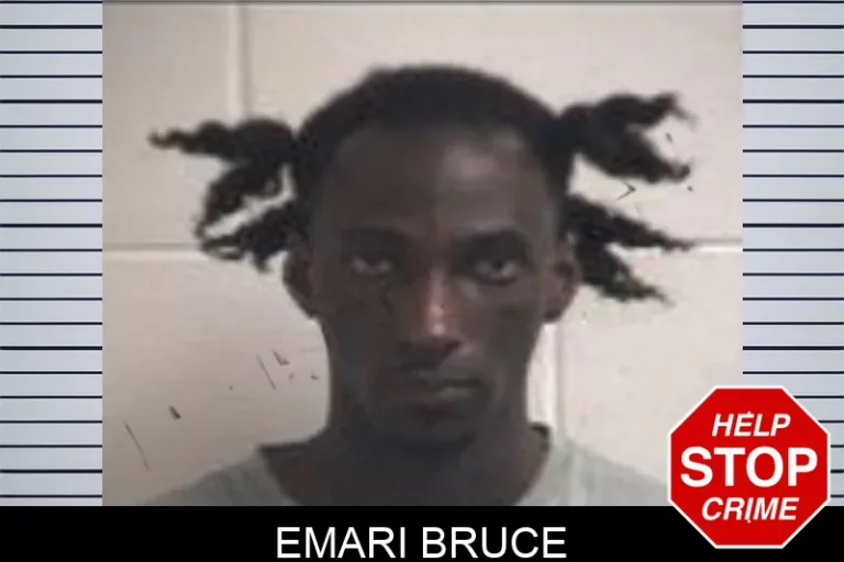 Emari Bruce mugshot – Henry County , Georgia Emari Bruce
