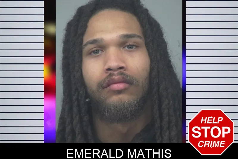 Emerald Mathis mugshot – Gwinnett County , Georgia Emerald Mathis mugshot