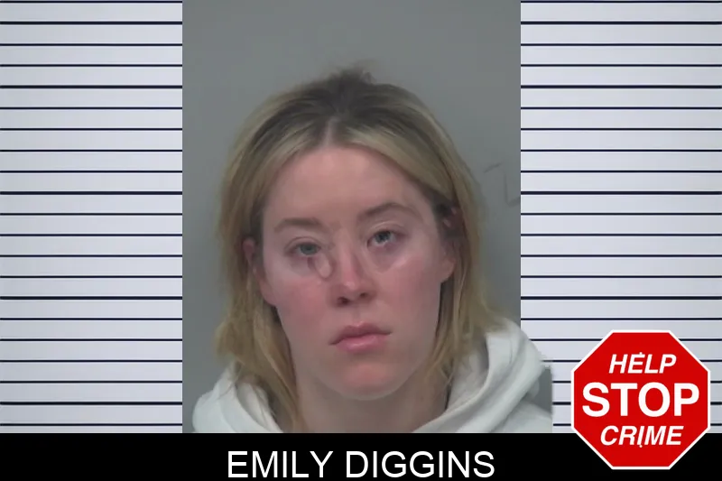 Emily Diggins Mugshots