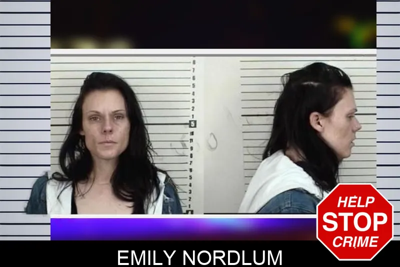 Emily Nordlum Mugshots