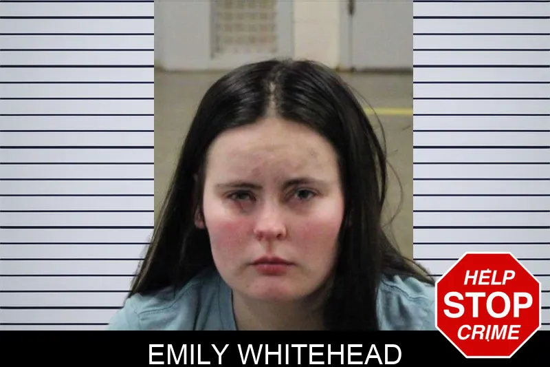 Emily Whitehead Mugshots