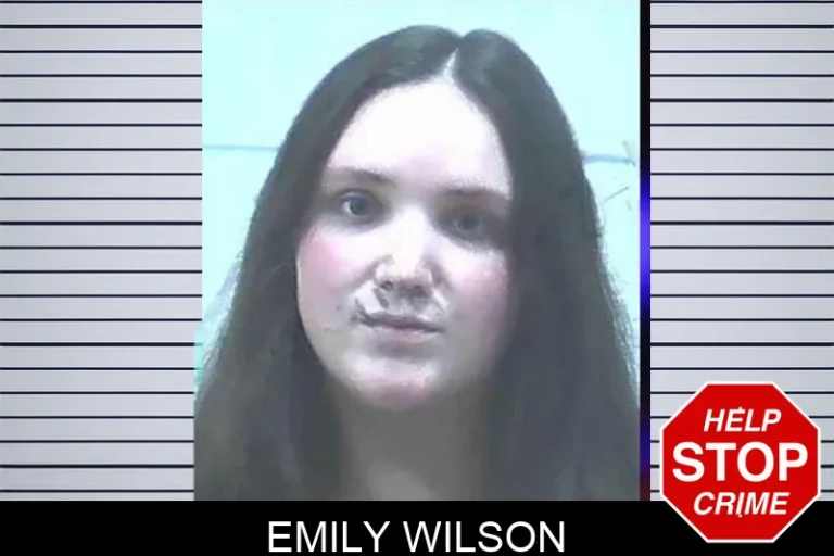 Emily Wilson mugshot – Jackson County , Georgia Emily Wilson