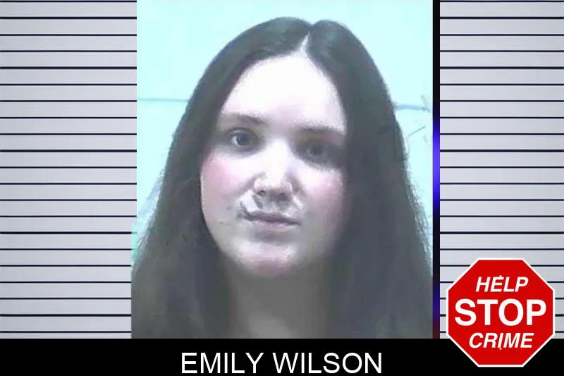 Emily Wilson Mugshots