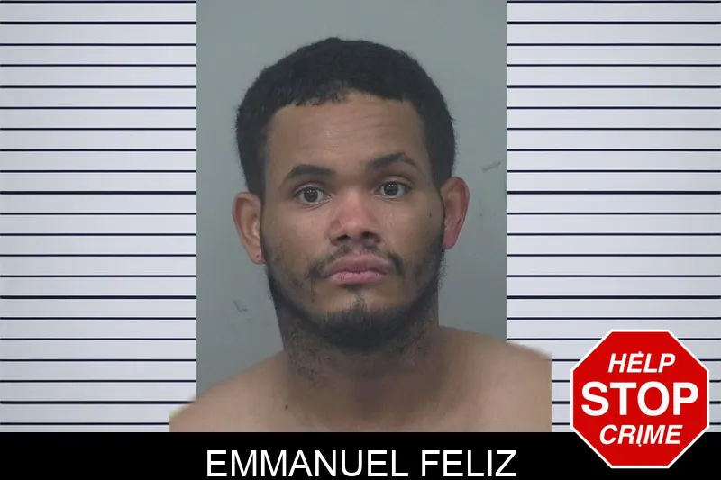 Emmanuel Feliz Mugshots