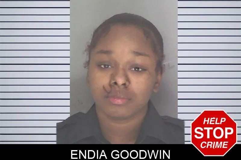 Endia Goodwin mugshot – Douglas County , Georgia Endia Goodwin mugshot