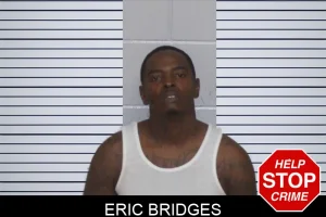 Eric Bridges mugshot