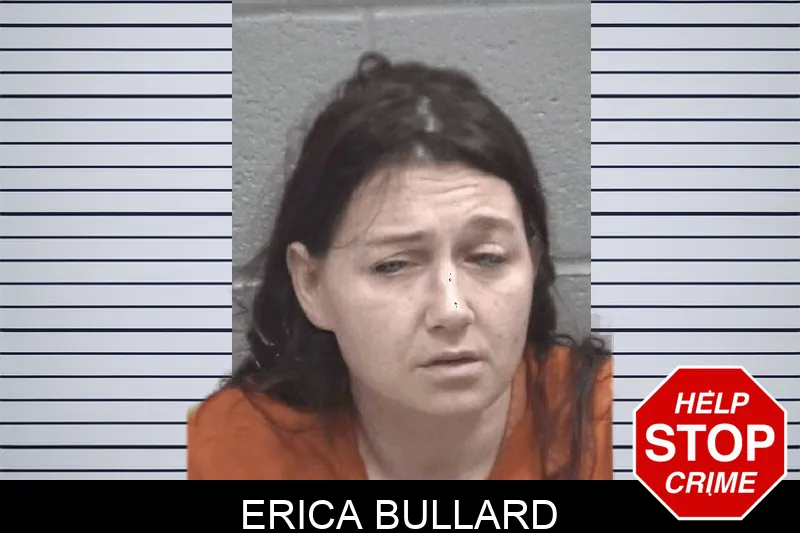 Erica Bullard Mugshots