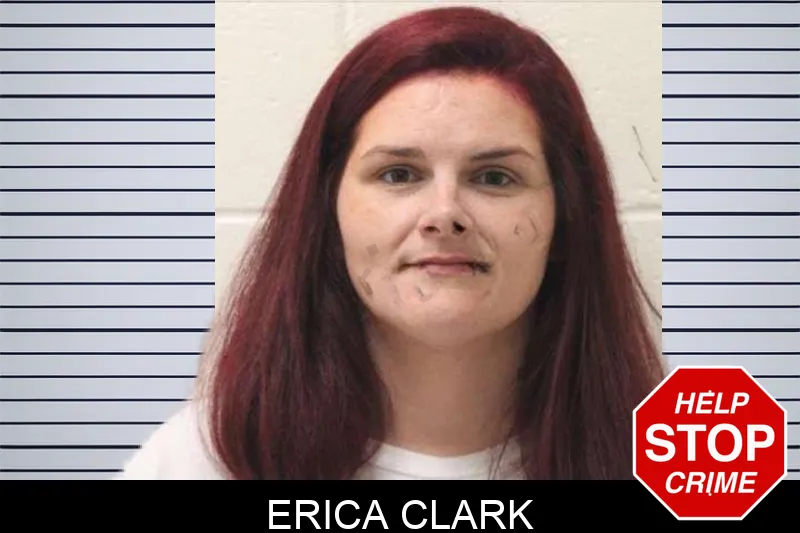Erica Clark Mugshots